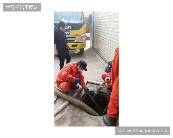 崇明岛梯队选拔机制引入动态骨密度对比来净化竞技环境